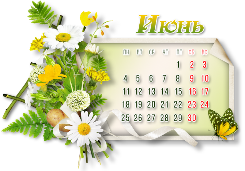 Лист месяца календаря. Календарь июнь. Календарь июнь 2021. Календарик на июнь. Календарь на лето красивый.