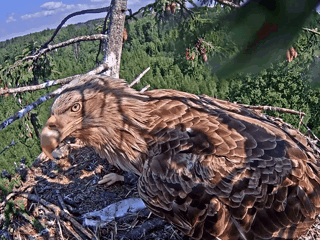 а че вы тут делаете