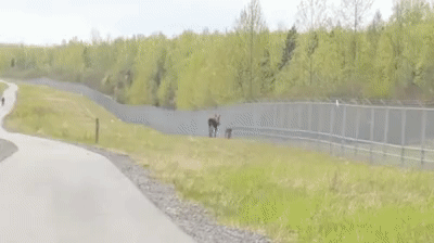 Мать есть мать