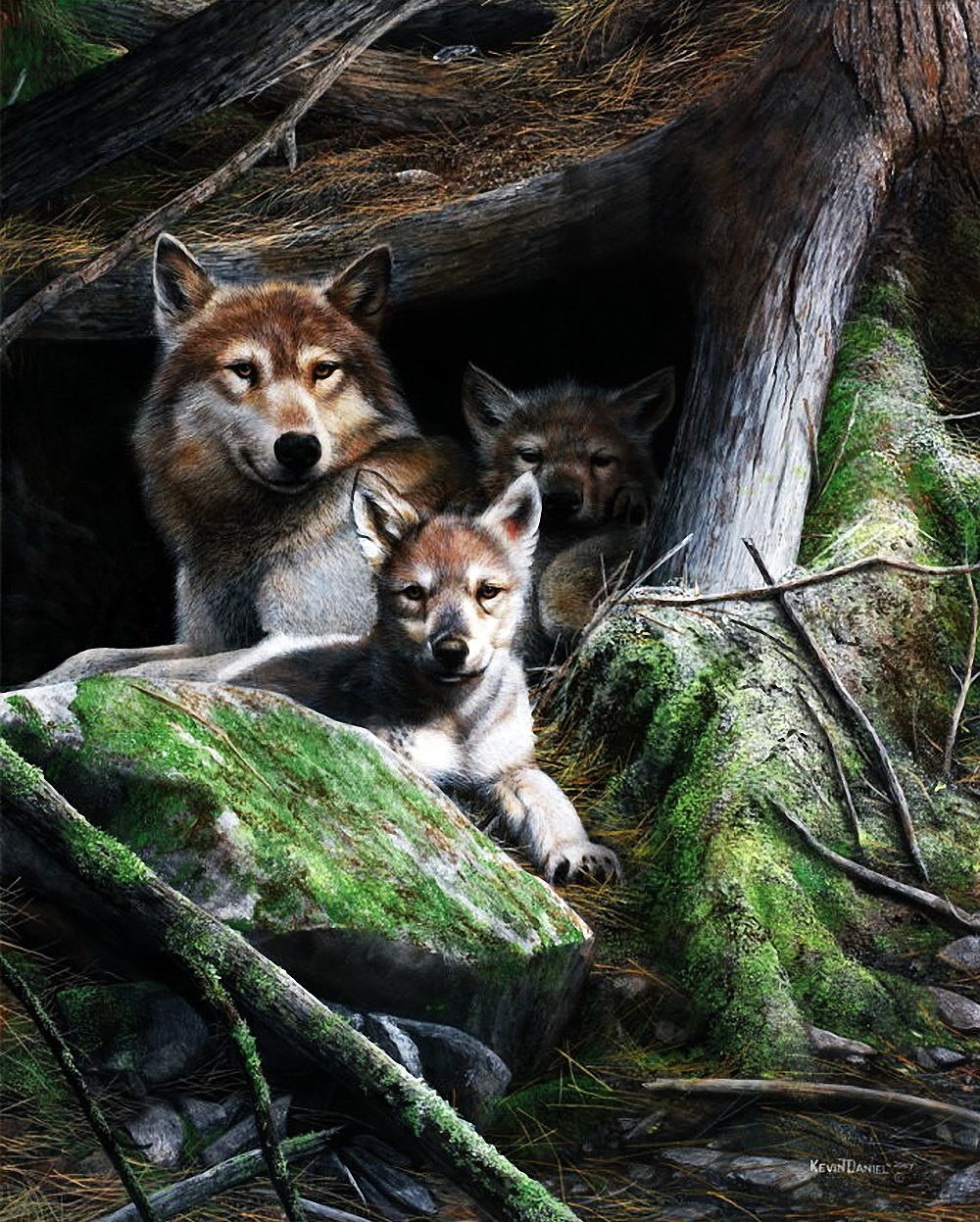 Работы с дикими животными. Волк волчица Волчонок семья. Волчица с волчатами. Волк с волчатами.