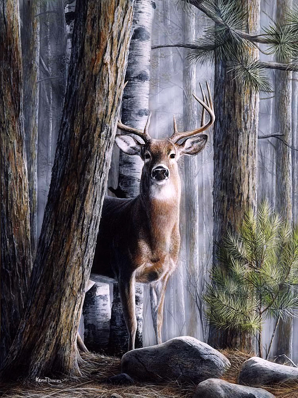 13 оленей. Художник Кевин Даниэль. Картина олени. Постер олень. Постер олень в лесу.