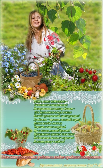 грибочки