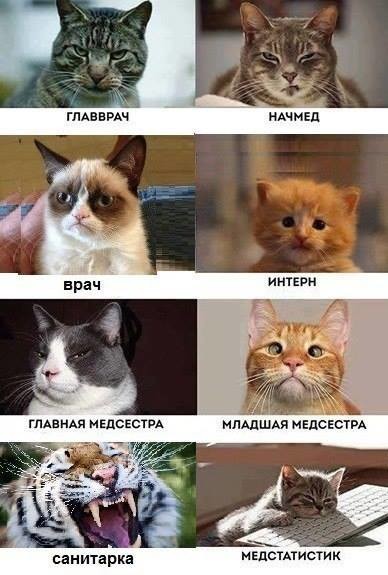 image (1)