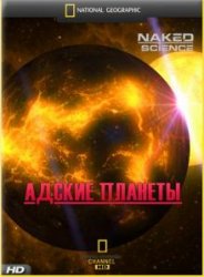 1242064358_thumb_2904448001