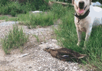 0a216e9b5682d2a9b7a8b548aca0c206