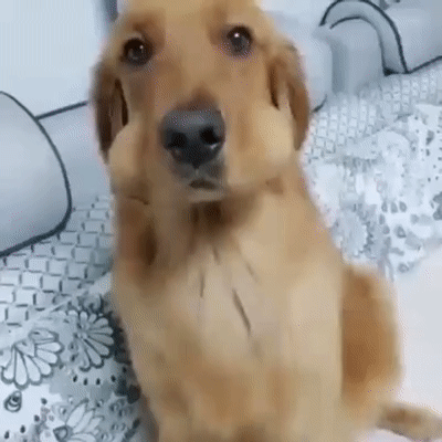 Какие яйца?