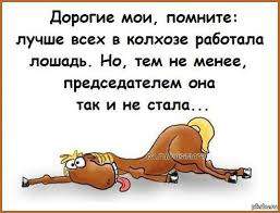 1457353162_rabota1