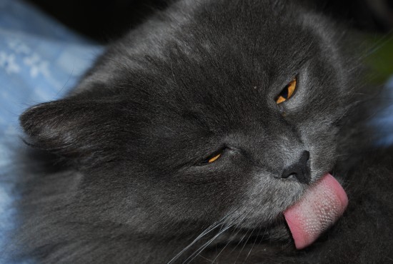 Изображение 040