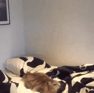 https__vk_com_ebankotop