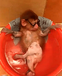 e976a95d3f3a426e8d08686343807c44