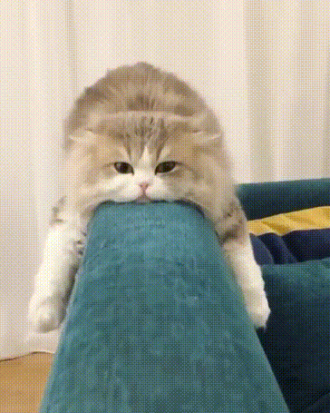 Ubeysya_Pozitivom__128517