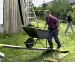8576812672386502