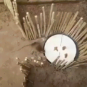 1533862848189342008