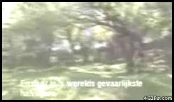Bike_ramp_flip