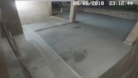 ///
