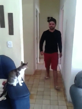Дай пять!