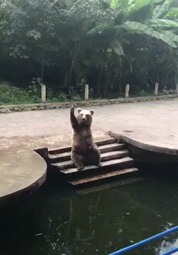 1535629057133525043