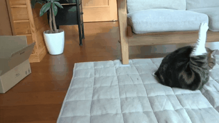 2735863321fbdcd139b3369463719700