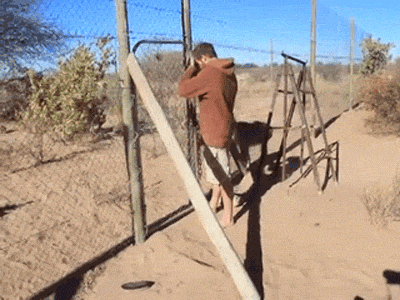 ca4676ba3b8e24cdee84ac13eee2f685