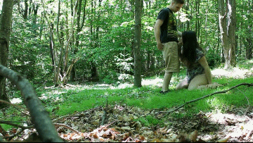 подосиновики