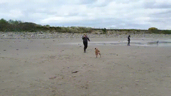 tmp_cleverpub_795cb5688dd4ff540f09efd22d1202e4