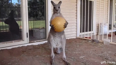 135