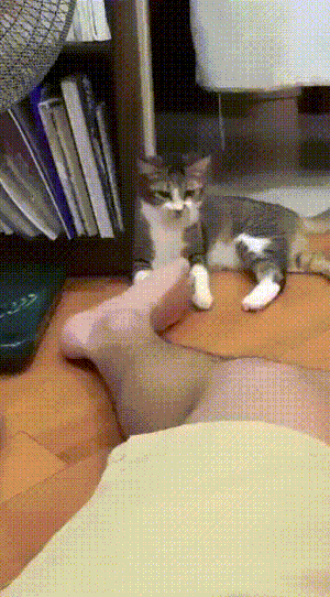 Вштырило