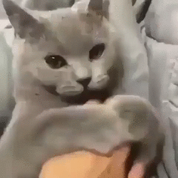 Продажная