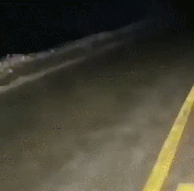 153922437315186923