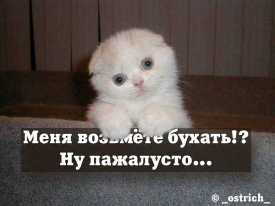 =)