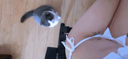 Kogda_paren_zaslal_svoego_kota_k_tebe_v_komnatu