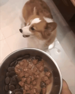 d7cdbe26f65bd27a75ae0943da37d24a