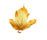 _3_arnusha