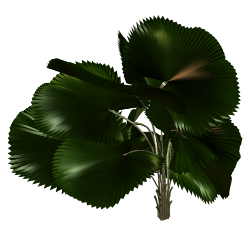 0_b0b66_c84159a4_L_zps87c595a4