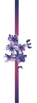 3_8_1