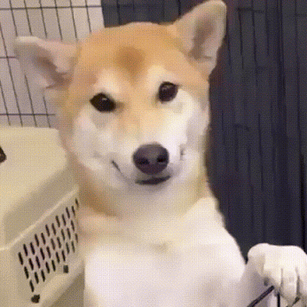 06a9cb0d25f77f5ca841e4cfd4917d3b_187945_1541354199