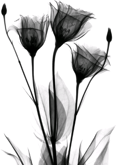 0_16aebf_c473e5a3_orig
