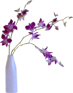 0_16f1d3_2e7b66c_orig