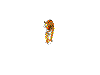 jivotniea-1611