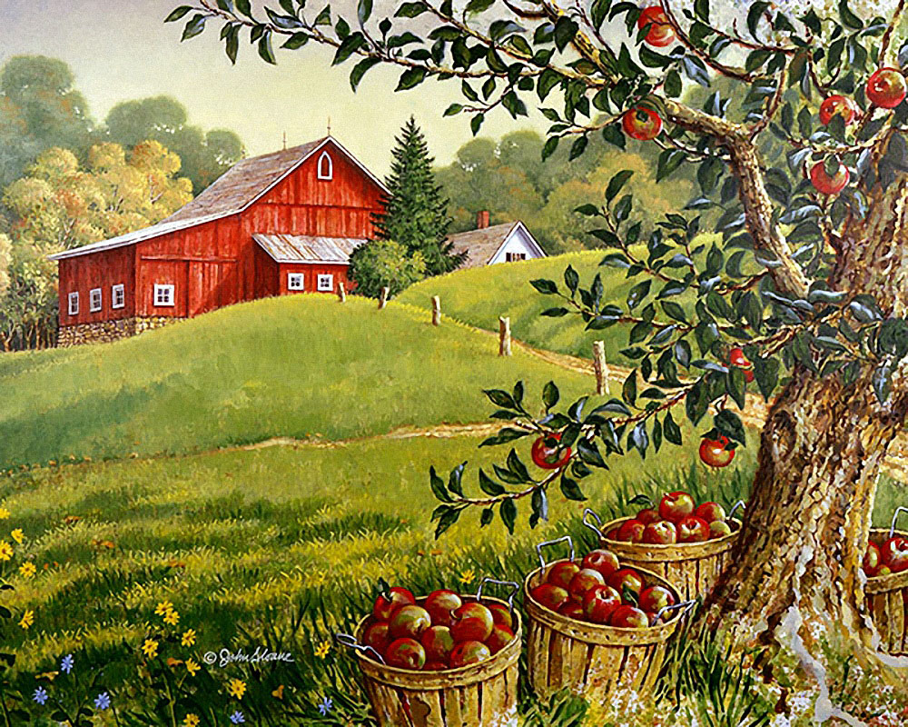 Яблоневый сад в деревне
