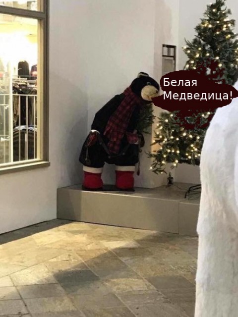WhiteBear