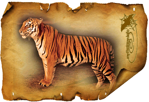 39c7aff8653a76e9aebfb7910873c339