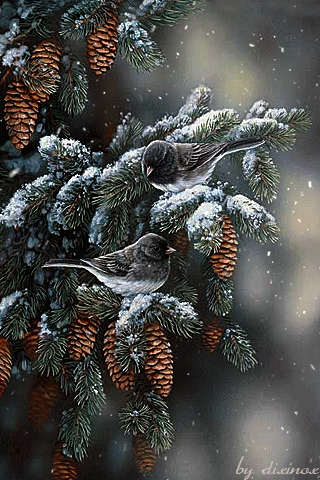 0_1b904d_ae6aea04_orig