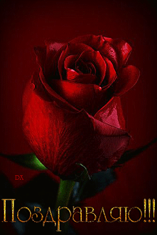 0_10e858_81c85d1f_orig