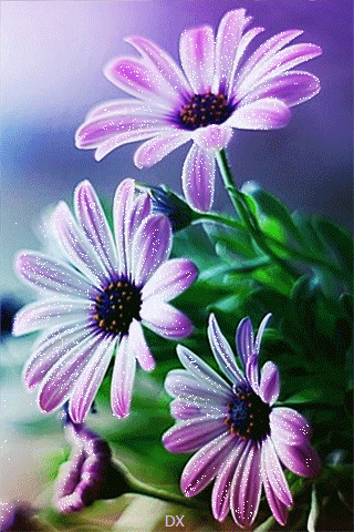 0_10ebd9_1530f014_orig