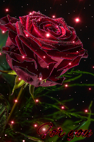 0_107c97_d6aed821_orig