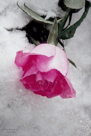 0_1194fe_13a9040a_orig