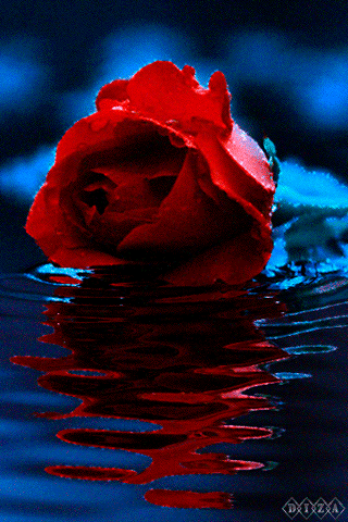 0_c2c73_5a29ae96_orig