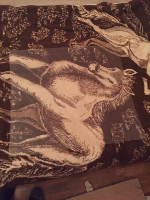 6ED31DE1-7B79-49BF-8238-723EF9F18FA9