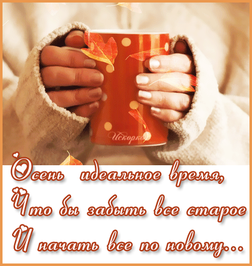 VSE-NOVOE